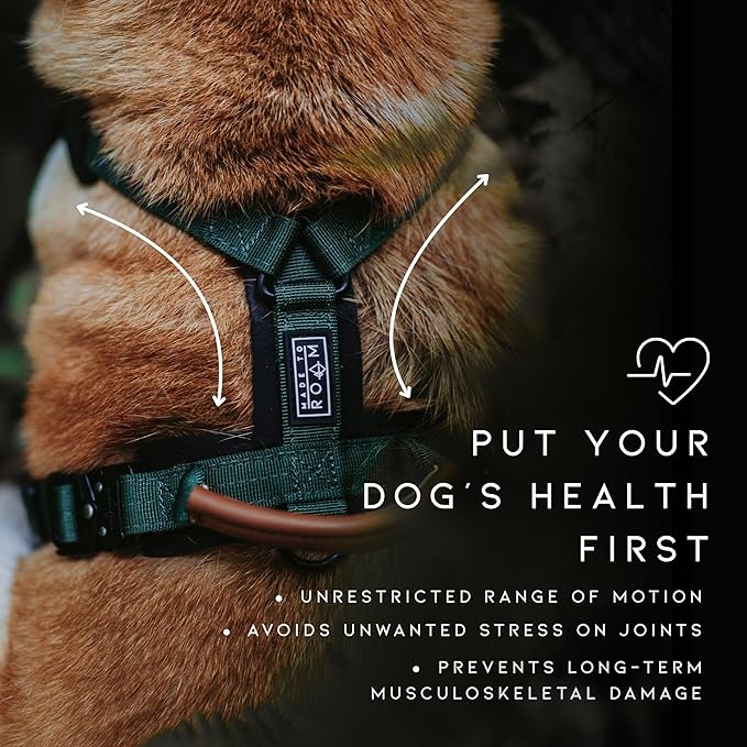 MADE TO ROAM Premium Explorer Harness - Y-Shaped Dog Harness with Adjustable Durable Nylon, Soft Padding, Metal Buckles and Leather Handle for Small, Medium, Large Dogs (New York Afterlight, Size 2)