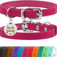 BRONZEDOG Leather Cat Collar with Removable Bells Non Breakaway Kitten QR Tag for Girl Boy (7" - 9" for Cats, Pink & Silver)