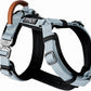 MADE TO ROAM Premium Explorer Harness - Y-Shaped Dog Harness with Adjustable Durable Nylon, Soft Padding, Metal Buckles and Leather Handle for Small, Medium, Large Dogs (Alaska Daybreak, Size 1)