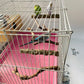 5PCS Bird Perch Stand Natural Wooden Parrot Stand Branch,3 Grape Wood Perch,2 Stand,Paw Grinding Fork Parakeet Chewing Stick Exercise Training Branches for Cockatiels,Small Medium Birds