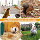 Apple Sticks for Rabbits, Natural Bunny Chew Toys Wood Treats Food for Small Animals,Hamsters, Chinchillas Squirrel Bunny Guinea Pigs Small Pet Apple Chew Sticks