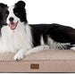 Bedsure Dog Beds Large Sized Dog - Orthopedic Flat Pet Beds with Removable Washable Cover, Egg Crate Foam Puppy Mat, Suitable for Pet Up to 65 lbs