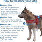DOCO No-Pull Dog Harness Halter Reflective Easy-Control Harness for Training, Walking, and Preventing Pulling, Ideal for Medium Dogs(Navy Blue)