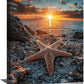 Beach Starfish Wall Decor Ocean Starfish Wall Art Sunset Scenery Coastal Theme Pictures Canvas Nature Seascape Painting Print Framed Artwork Decorations for Home Bathroom Living Room Bedroom Office 12"x16"