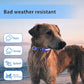 PcEoTllar Light up Dog Collar for Night Walking - LED Dog Collar Light Rechargeable Color Changing, Glow in The Dark Dog Collars Waterproof Glowing Dog Collars for Large Small Medium Dogs