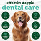 TropiClean Oral Care Brushing Gel for Dogs & Cats| Dog Toothpaste | Pet Dental Gel | Dog Teeth Cleaning Use with Pet Toothbrush | 2 oz