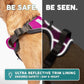 Embark Adventure Dog Harness, Reflective Trim No Pull Dog Harness for Large Dogs - Military Grade Nylon, Front Clip with Gel Lined Handle.