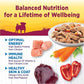 Wellness Petite Entrees Mini Fillets Grain Free Natural Wet Small Breed Dog Food, Roasted Chicken, Carrots & Red Peppers, 3-Ounce Cup (Pack of 24)
