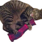 15" Cat Kicker Toy with Refillable Catnip Pocket (Red Flannel) - Filled with 1 oz Premium Canadian Catnip