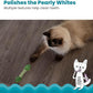 Petstages Fresh Breath Mint Stick Dental Cat Chew Toy