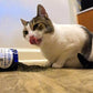 The Cat's MeWow 100% Pure Catnip - All Natural, Non-Addictive Treat for Cats & Kittens
