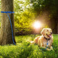 Tresbro 70FT Reflective Tie Out Cable for Dogs Up to 250 Pounds, Steel Wire Lead Leash Cable with Stainless Rotatable Clip, Lightweight and Enduring, Dog Lead Chains for Outside,Yard,Camping, Blue
