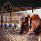 Bloomoak Slow Hay Net Feeder for Horses, Durable Soft Black PE 2/3 String Hay Bales Bags, Fit 36x18x18 to 47x25x17 Inches, Extends 50-64 Inches (3 1.6" Hole/1PC)