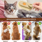Cat Steam Brush for Shedding, 2025 New 4 in 1 Rechargeable Steam Pet Brushes for Cats & Dogs, Indoor Anti-static Pets Brush for Massage, Cleaning, Shedding & Combing Hair (Beige)