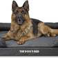 The Dog’s Bed XL Grey 43.5x34, Memory Foam, Pain Relief: Arthritis, Hip & Elbow Dysplasia, Post Surgery, Lameness, Supportive, Calming, Waterproof Washable Cover, Veterinary Approved