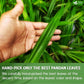 FreshDrinkUS, Premium 8oz Natural Pandan Leaves Dried, 100% Pure Dried Pandan Leaves, Pandan Leaf Tea, No Additives, No Caffeine, Vegan (8 oz Dried Leaves)