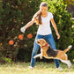 Dog Balls for Aggressive Chewers, Indestructible Bouncy Floating Balls for Training Dog Catch and Fetch, Sturdy Solid Tennis Ball Toys for Large Medium Small Dogs - 2.75in - Orang&White - 2pcs