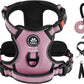 IVY&LANE No Pull Dog Harness for Large Dogs, Dog Vest Harness with Leash, Safety Belt and Storage Strap, Fully Adjustable Harness, 360° Reflective Strip, Soft Handle (Pink, XL)