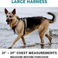 Embark Adventure Dog Harness, Reflective Trim No Pull Dog Harness for Large Dogs - Military Grade Nylon, Front Clip with Gel Lined Handle. Soft & Padded Puppy