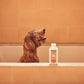 MRS. MEYER'S CLEAN DAY 3 in 1 Dog Shampoo, White Peach Scent, 14oz