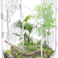 Jumping Spider Enclosure, 12x6x6 Inch Acrylic Tarantula Enclosure, Jumping Spider Accessories with Front Opening Door