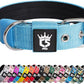 TSPRO Tactical Dog Collar 1.25 Inch Wide Thick Dog Collars with Heavy Duty Metal Buckle, Durable, Strong, Adjustable for Small Dogs (Blue S)