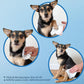 Best Pet Supplies Pet Wipes for Dogs - Dog Wipes Cleaning Deodorizing, for Coats, Ears, Paws - Calming Lavender, 400 Count