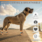 KOOLTAIL Dog Socks for Hot Pavement, Summer Breathable Dog Socks to Prevent Licking Paws, Non Slip Pet Boots&Paw Protectors for Hardwood Floor,Grippy Shoes for Small Medium Large Senior Dogs,Orange S
