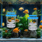 2 Pcs Breeder Box for Fish Tank Aquarium Breeder Separation Net Breeding Box with Suction Cup for Small Fish Shrimp Clownfish Guppy(Blue,L)
