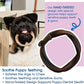 N-Bone Puppy Teething Rings Taste of Texas Burnt Ends Flavor 3 Count