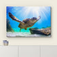 wall26 Canvas Print Wall Art Sunlight Ray Tropical Turtle Swimming Ocean Nature Animals Photography Realism Rustic Scenic Landscape Wilderness Colorful for Living Room, Bedroom, Office - 32"x48"