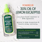 Murphy’s Naturals Mosquito & Tick Repellent, Plant-Based DEET-Free Spray, Outdoor Essentials Kit 3-Pack, 1x4-ounce + 2x2-ounce Pumps, Limited Edition