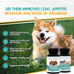 AminAvast Small Dogs & Cat Kidney Support - Promotes Healthy Kidney Support in Cats & Small Dogs - 300mg, 60 Capsule