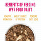 Weruva BFF Minced Natural Wet Cat Food, Tuna and Salmon Soulmates in Gelee, 10oz Can, Pack of 12