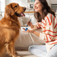 Pet Toothbrushing Assistant for Dogs and Cats Allows You to Brush Your pet’s Teeth Without Constantly Worrying About Getting Bitten Medium Size for Pets Between 15-85 lbs. (7-38.5 Kg)
