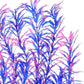 JIHAQUA Aquarium Decor Plastic Plants Extra Large 21 Inches Artificial Fish Tank Plants Tall Fish Tank Decorations (Purple 2pcs)