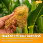 FreshDrinkUS, Premium 135 Tea Bags Corn Silk Tea, 100% Natural & Pure from Corn Silk. Corn Silk Herbal Tea. Clean Ingredients. Made with Natural Material Tea Bags. No Sugar, No Caffeine, Vegan.