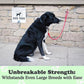 Canine Hitch- Secure Dog Leash Parking Mounted Indoor – Outdoor Wall Hook - Tie Out Stainless Steel Practical Lead Management for Home & Business, Standard Size 6 Pack