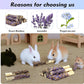 Abizoo Sweet Bamboo Rabbit Chew Sticks Treats and Toys 8Pcs Natural Hay with Forget-Me-Not Lavender for Bunny Guinea Pig Chinchilla Dental Care