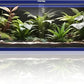 85 Gallon Snake Enclosure, Front Opening Reptile Tank for Easy Maintenance, Reptile Terrarium with Top Screen Ventilation 48''x24''x18''