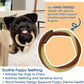 N-Bone Puppy Teething Rings Taste of Texas Queso Con Carne Flavor 3 Count