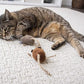 Petlinks (2 Count) Lil' Critters Mice Catnip Cat Toys - Brown, 2 Count