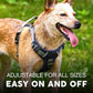 Embark Adventure Dog Harness, Reflective Trim XL Harness for Extra Large Dogs No Pull - Military Grade Nylon, 2 Leash Clips & Gel Lined Handle. Soft & Padded Puppy Dog for Any Breed