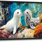 Extra Large Seal Framed Wall Art for Living Room,Oversized Underwater Animal Pictures Wall Decor,Ocean Coral Reef Canvas Print Painting Modern Artwork Bedroom Office Bathroom 36L" x 24W"