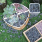 45lb River Rocks Pebbles for Plants & Succulents, Decorative Outdoor Landscaping Garden Rocks, Natural Small Mexican Beach Pebbles Aquarium Rocks Gravel for Fish Tanks Vase Yard Decor