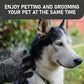 Maxpower Planet Pet Grooming Gloves for Dogs and Cats - Grooming Mitt for Dogs -Cat Gloves - Hair Removal Bruh - All Hair Types