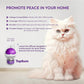 Cat Pheromones Calming Diffuser: Premium Pheromone Diffuser for Cats - Cat Pheromones Diffuser - Cat Calming Diffuser - Cat Calming Pheromone Diffuser, 2 Pack (Purple)
