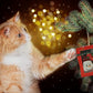 Fashion's Talk Holiday Festive Red Variety Pack Gift Box Cat Toy with Catnip, Box 20 Count