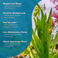 Live Plant - Tall Grass, Vallisneria Americana - Easy Care, Moderate to High Light, Bright Green Accent, Freshwater Aquatic Plant for Aquascaping - Lead Bunch
