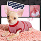 FUAMEY Dog Recovery Suit Male,Dogs Surgery Neuter Suits Puppy Spay Shirts for Female Protect Dog's Skin Anti Licking Abdominal Wounds Doggie Onesie Pet Bodysuit Alternative to Cone Red Stripes XL